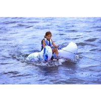 Aqua Buddy Water Ski/Wakeboard Trainer RS02368